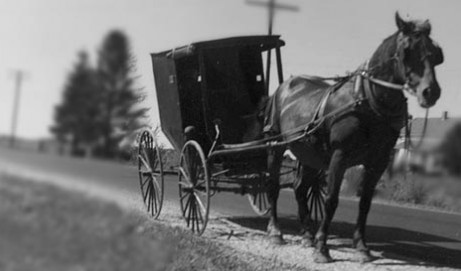 Old Order Amish