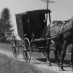 Old Order Amish